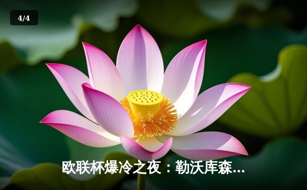 欧联杯爆冷之夜：勒沃库森3-0完胜罗马，赛季47场不败刷新欧洲纪录 - 4